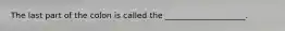 The last part of the colon is called the ____________________.​