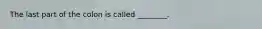 The last part of the colon is called ________.