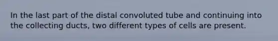 In the last part of the distal convoluted tube and continuing into the collecting ducts, two different types of cells are present.