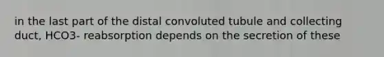in the last part of the distal convoluted tubule and collecting duct, HCO3- reabsorption depends on the secretion of these