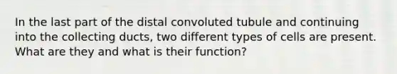 In the last part of the distal convoluted tubule and continuing into the collecting ducts, two different types of cells are present. What are they and what is their function?