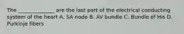 The ______________ are the last part of the electrical conducting system of the heart A. SA node B. AV bundle C. Bundle of His D. Purkinje fibers