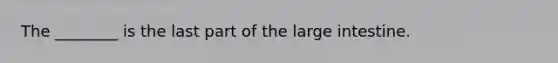 The ________ is the last part of the large intestine.