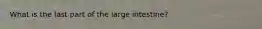 What is the last part of the large intestine?