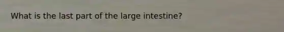 What is the last part of the <a href='https://www.questionai.com/knowledge/kGQjby07OK-large-intestine' class='anchor-knowledge'>large intestine</a>?