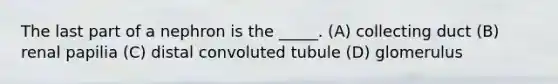 The last part of a nephron is the _____. (A) collecting duct (B) renal papilia (C) distal convoluted tubule (D) glomerulus