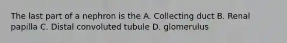 The last part of a nephron is the A. Collecting duct B. Renal papilla C. Distal convoluted tubule D. glomerulus