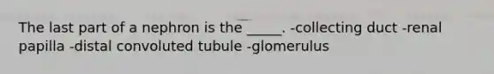 The last part of a nephron is the _____. -collecting duct -renal papilla -distal convoluted tubule -glomerulus