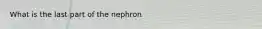 What is the last part of the nephron