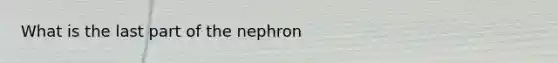 What is the last part of the nephron