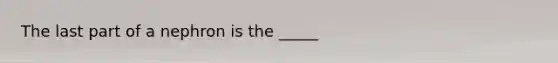 The last part of a nephron is the _____
