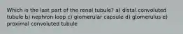 Which is the last part of the renal tubule? a) distal convoluted tubule b) nephron loop c) glomerular capsule d) glomerulus e) proximal convoluted tubule