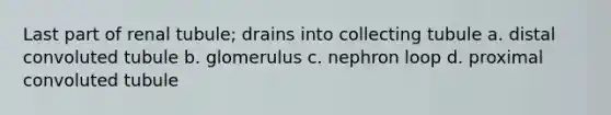 Last part of renal tubule; drains into collecting tubule a. distal convoluted tubule b. glomerulus c. nephron loop d. proximal convoluted tubule