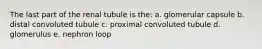 The last part of the renal tubule is the: a. glomerular capsule b. distal convoluted tubule c. proximal convoluted tubule d. glomerulus e. nephron loop