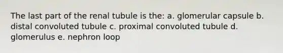 The last part of the renal tubule is the: a. glomerular capsule b. distal convoluted tubule c. proximal convoluted tubule d. glomerulus e. nephron loop