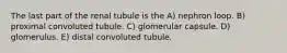 The last part of the renal tubule is the A) nephron loop. B) proximal convoluted tubule. C) glomerular capsule. D) glomerulus. E) distal convoluted tubule.