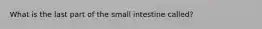 What is the last part of the small intestine called?