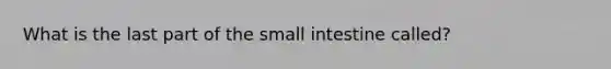 What is the last part of the small intestine called?