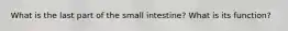 What is the last part of the small intestine? What is its function?