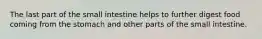 The last part of the small intestine helps to further digest food coming from the stomach and other parts of the small intestine.