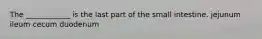 The ____________ is the last part of the small intestine. jejunum ileum cecum duodenum