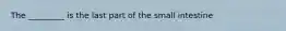 The _________ is the last part of the small intestine