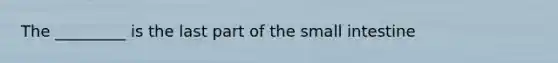 The _________ is the last part of the small intestine