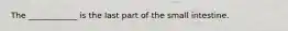 The ____________ is the last part of the small intestine.