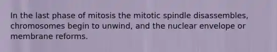 In the last phase of mitosis the mitotic spindle disassembles, chromosomes begin to unwind, and the nuclear envelope or membrane reforms.