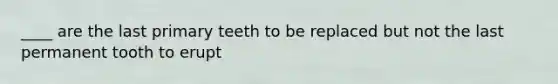 ____ are the last primary teeth to be replaced but not the last permanent tooth to erupt