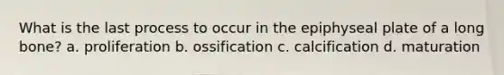 What is the last process to occur in the epiphyseal plate of a long bone? a. proliferation b. ossification c. calcification d. maturation