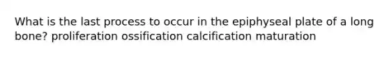 What is the last process to occur in the epiphyseal plate of a long bone? proliferation ossification calcification maturation