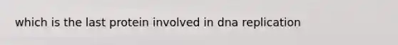 which is the last protein involved in dna replication