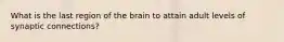 What is the last region of the brain to attain adult levels of synaptic connections?