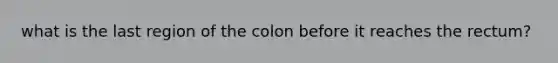 what is the last region of the colon before it reaches the rectum?