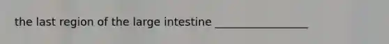 the last region of the large intestine _________________