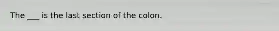 The ___ is the last section of the colon.