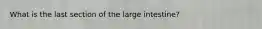 What is the last section of the large intestine?