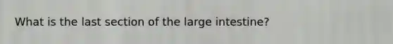 What is the last section of the large intestine?