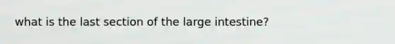 what is the last section of the large intestine?