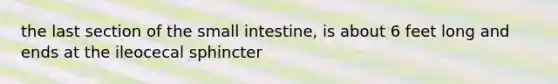 the last section of the small intestine, is about 6 feet long and ends at the ileocecal sphincter