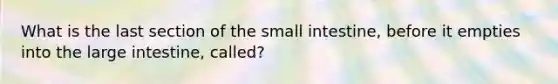 What is the last section of the small intestine, before it empties into the large intestine, called?