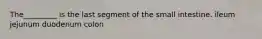 The_________ is the last segment of the small intestine. ileum jejunum duodenum colon