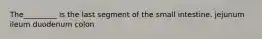 The_________ is the last segment of the small intestine. jejunum ileum duodenum colon