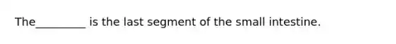 The_________ is the last segment of the small intestine.