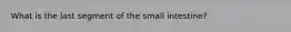 What is the last segment of the small intestine?