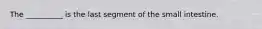 The __________ is the last segment of the small intestine.