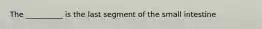 The __________ is the last segment of the small intestine