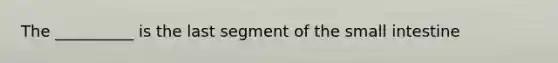 The __________ is the last segment of the small intestine