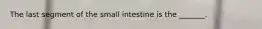 The last segment of the small intestine is the _______.